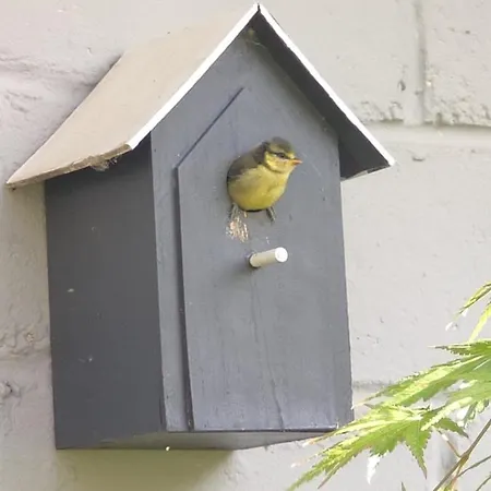 Nocleg ze śniadaniem Le Moulin D'audenfort