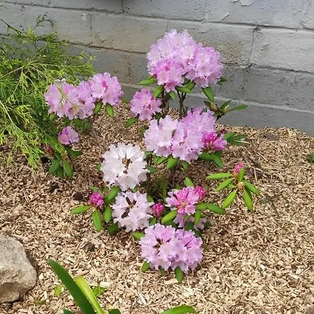 Nocleg ze śniadaniem Le Moulin D'audenfort 3*